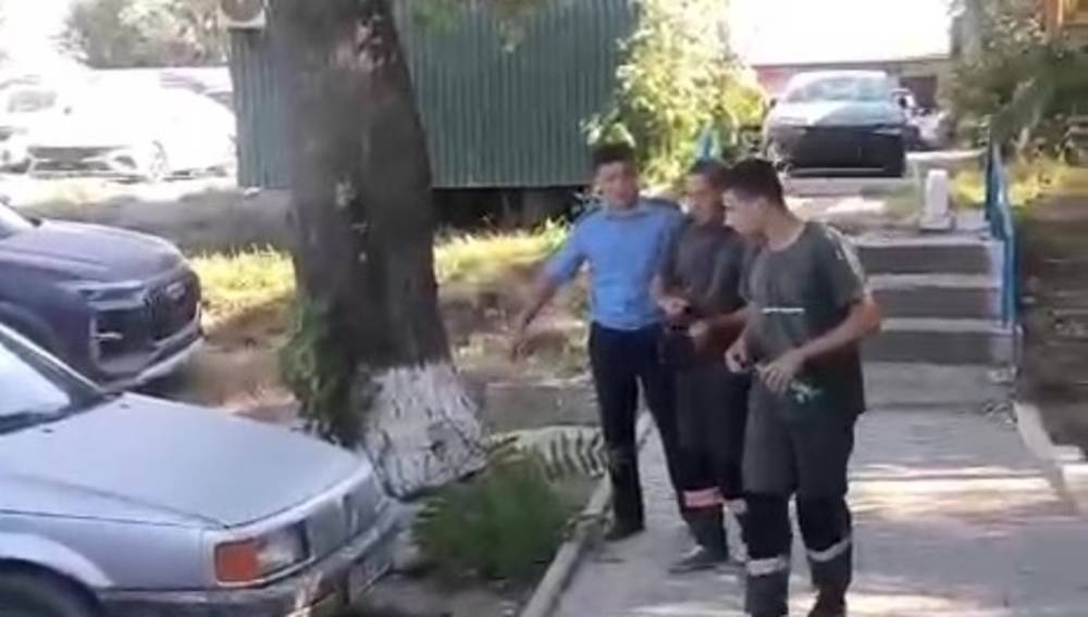 Трос от электростолба, который привязали к дереву, убрали, а «Кыргыз Темир жолу» оштрафовали на 13 тыс. сомов, - мэрия