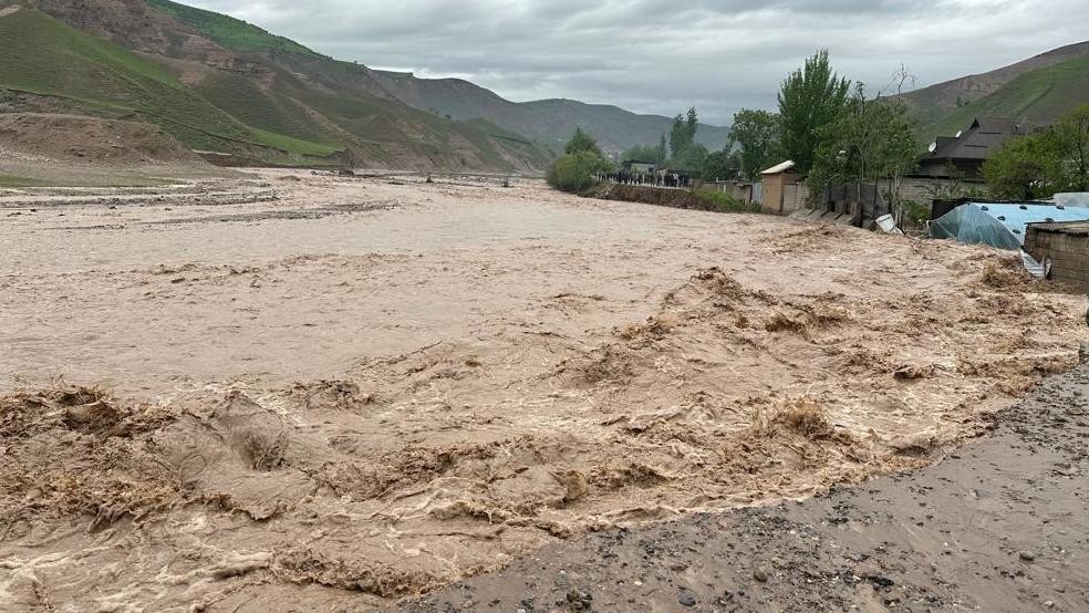 Иллюстрациялык сүрөт