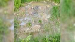 В парке Байтик Баатыра из канализации сбрасываются отходы, - горожанин