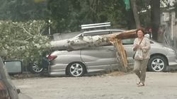 Последствия сильного ветра: дерево упало на машину
