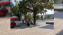 Горожанин: Когда установят остановочные пункты на Ахунбаева-Абая?