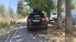 Toyota припарковали на тротуаре и газоне на Мичурина—Тыныстанова. Фото