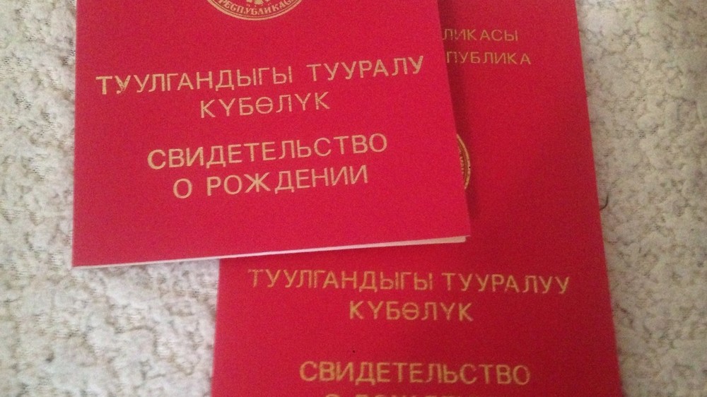 Иллюстрациялык сүрөт