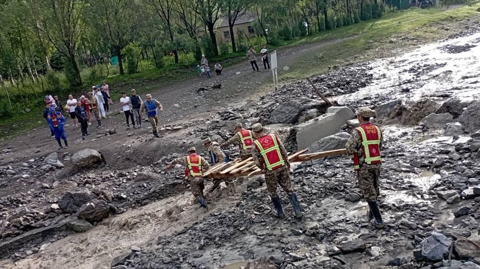 Иллюстрациялык сүрөт