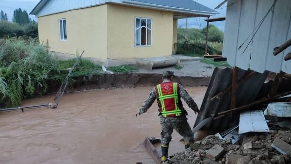 Иллюстративное фото