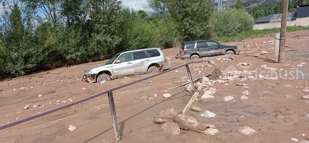 Иллюстрациялык сүрөт