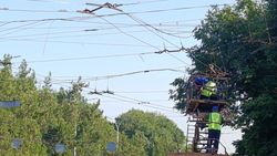 Горожанка интересуется, что делают с троллейбусными проводами на Ахунбаева-Мира?