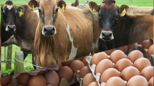 производство