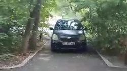 «Тойота Витц» припаркована на аллее. Видео
