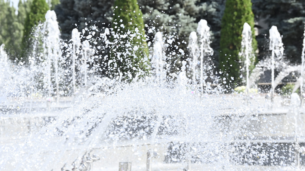 Иллюстративное фото