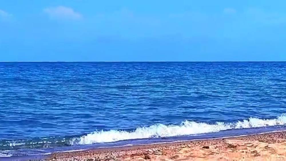 1 сентября в селе Кош-Көл. Видео