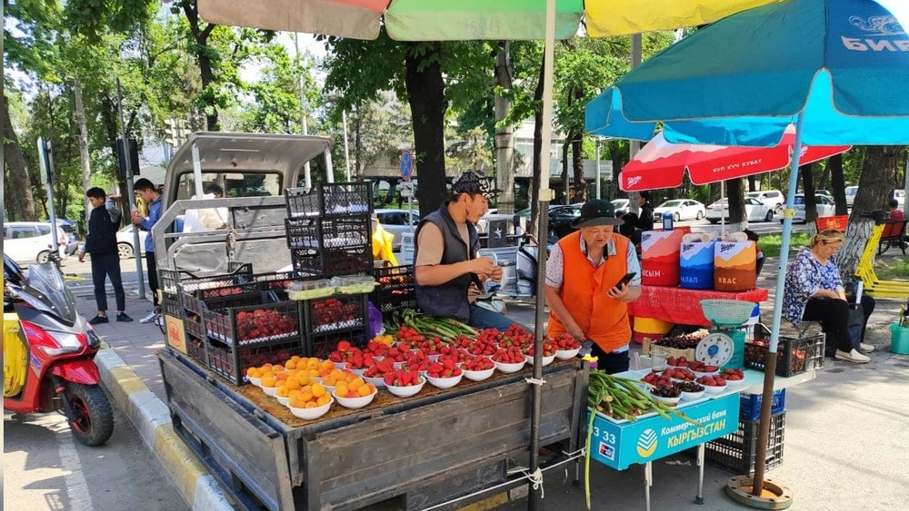 Иллюстрациялык сүрөт