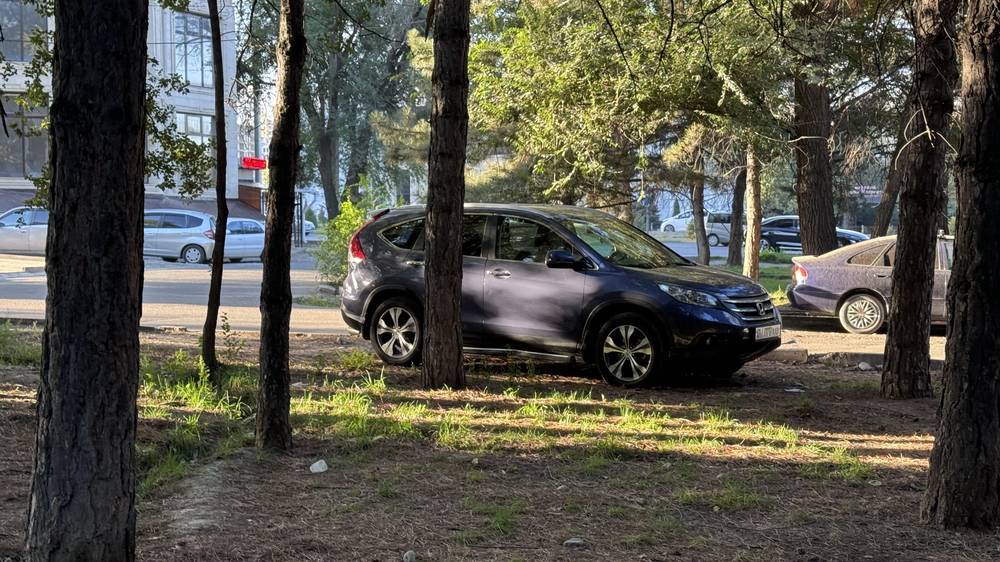 Муниципальная инспекция не смогла найти «Хонду CR-V», которая была припаркована в зеленой зоне в 8 мкр