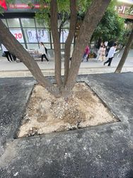 Стало