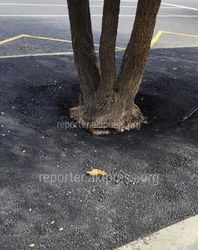 Было