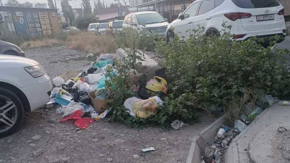 Житель жилмассива Көк-Жар жалуется на мусор. Фото