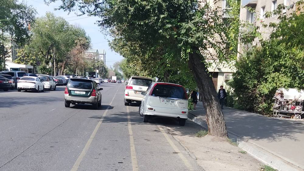 Водители продолжают парковаться на велодорожке и в зеленой зоне на Токтогула. Фото