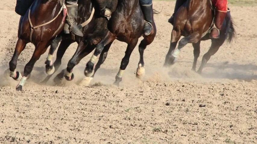 Иллюстрациялык сүрөт