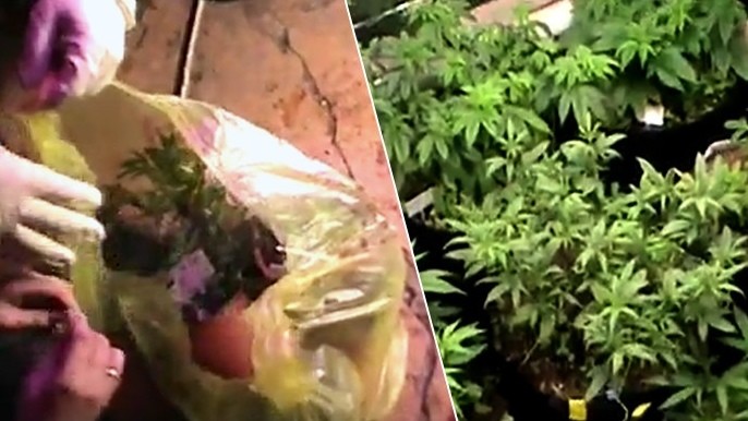 Иллюстрациялык сүрөт