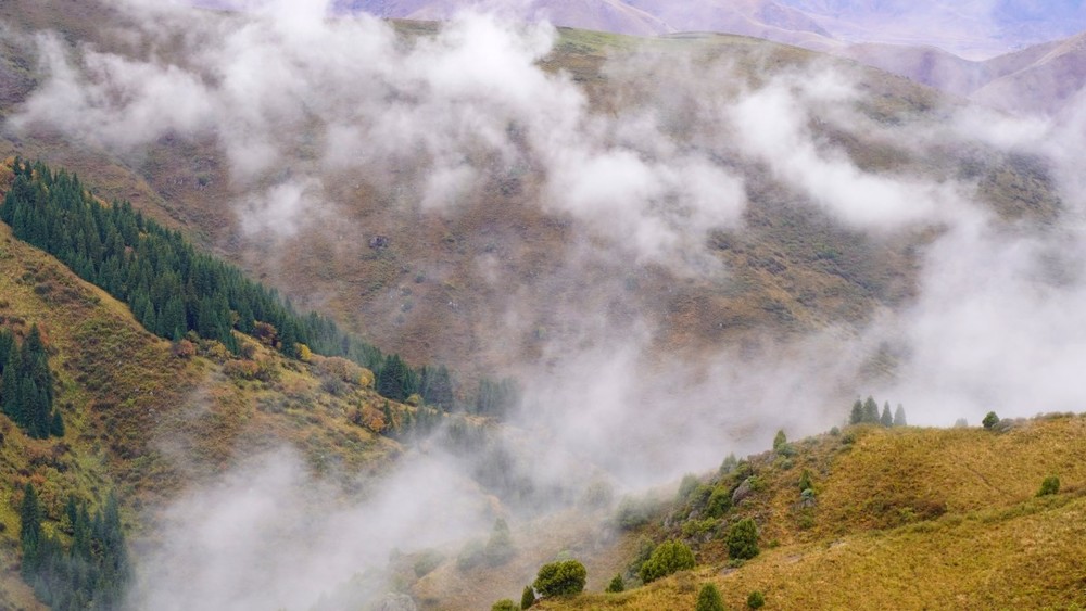 Чоң-Кемин жаратылыш паркы