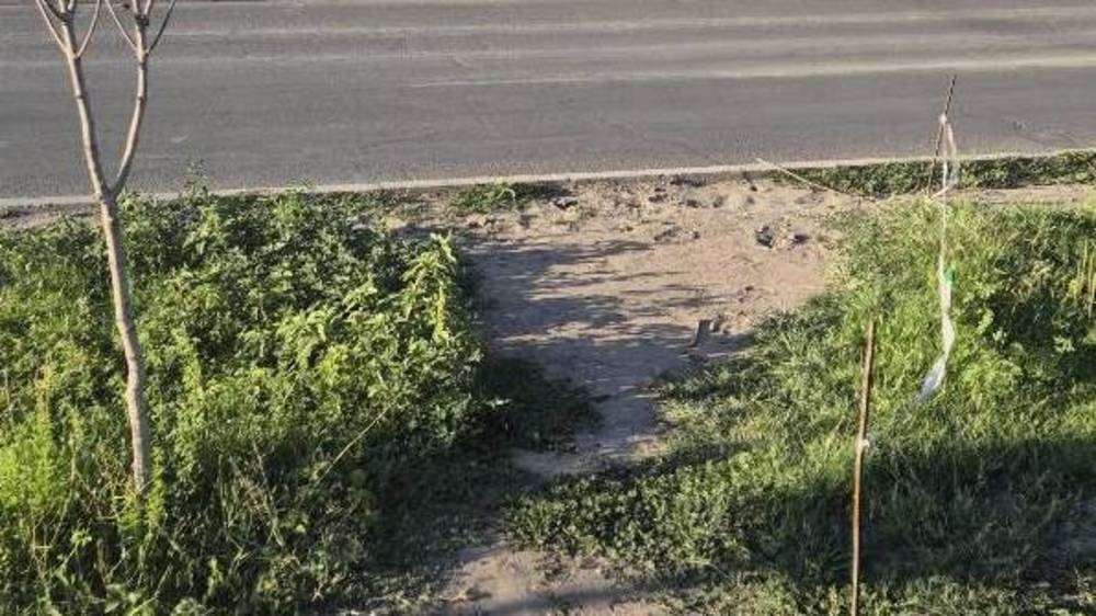 Бишкекчане снова начали уничтожать зеленую зону на Южной магистрали. Ответ мэрии