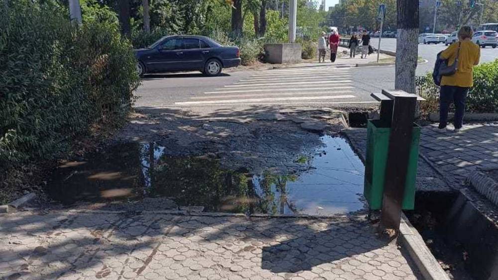 Лужа на тротуаре по проспекту Чуй. Фото
