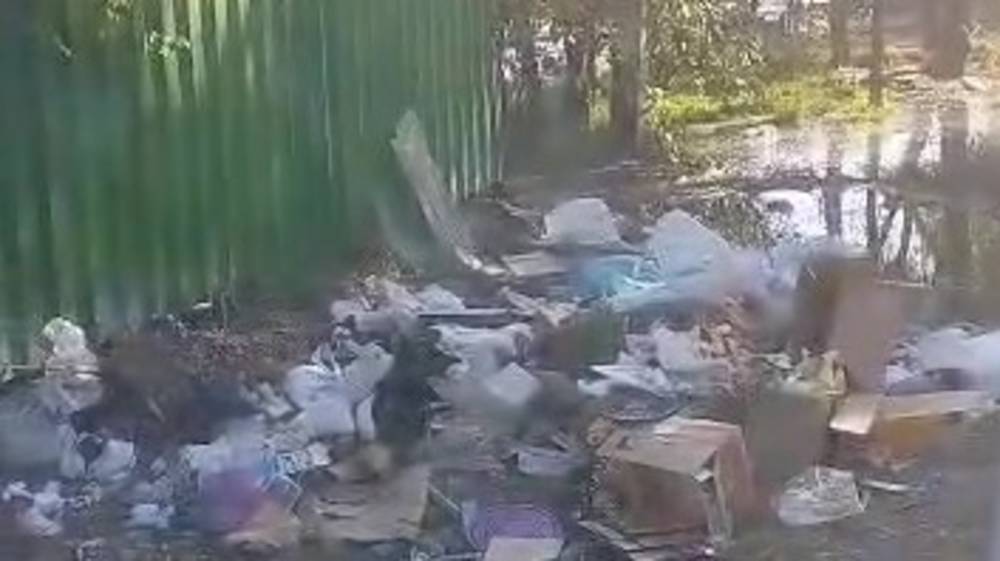 За мусорной площадкой на Льва Толстого бардак и затоп. Видео горожанина