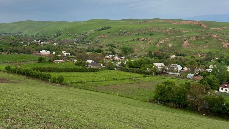 Иллюстрациялык сүрөт