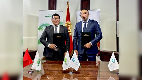 Онлайн-Полисы