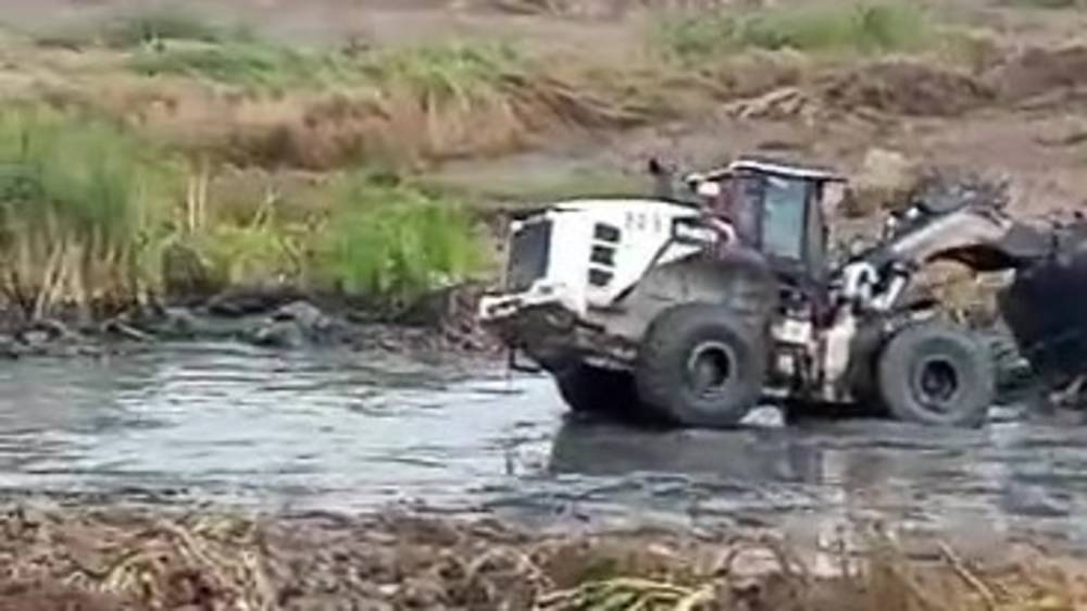 Пионерское озеро начали очищать от камышей. Видео горожанина