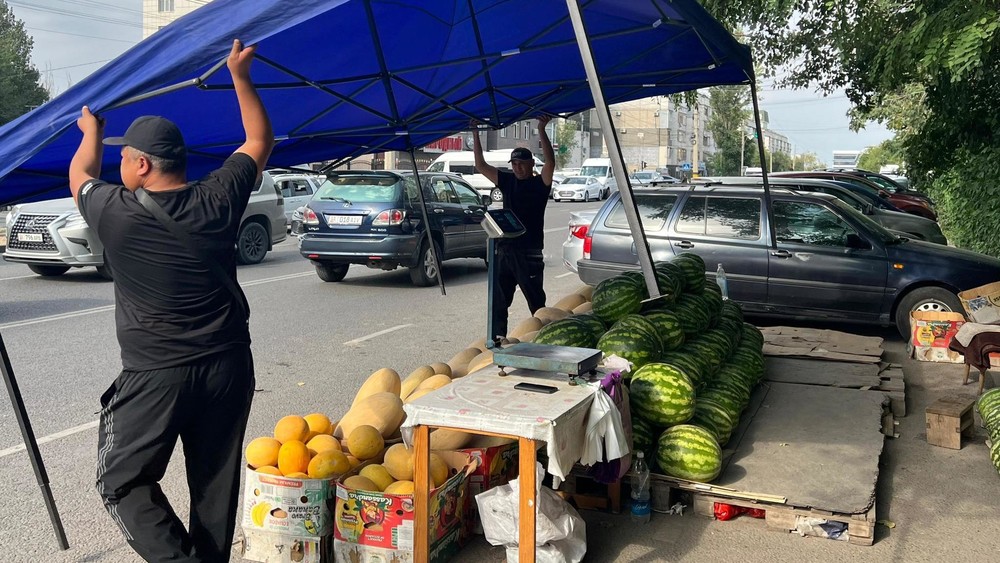 Иллюстрациялык сүрөт