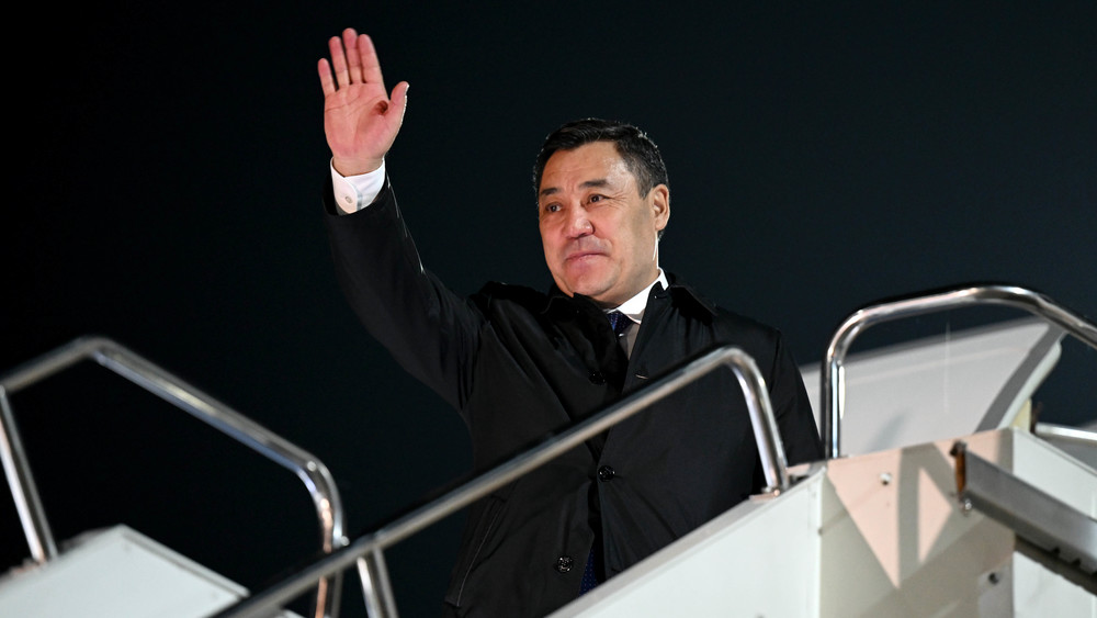 Иллюстративное фото