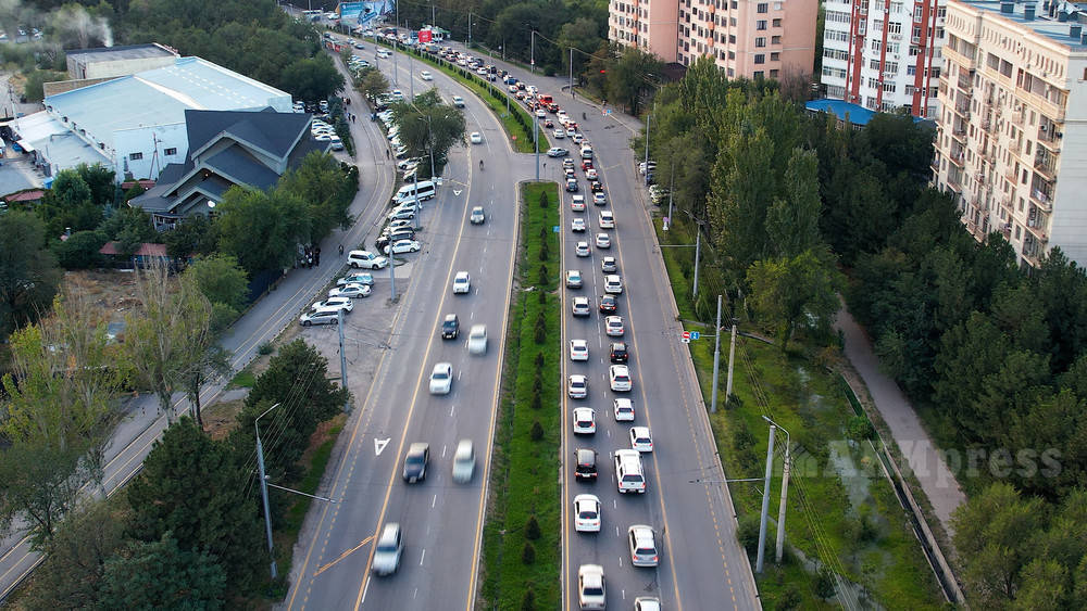 Действует ли на Южной магистрали полоса для общественного транспорта? Ответ мэрии