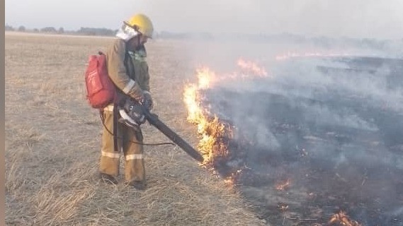 Иллюстрациялык сүрөт