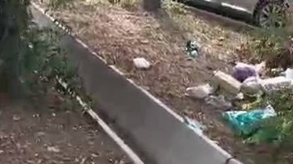 Свалка мусора на ул.Пролетарской. Видео