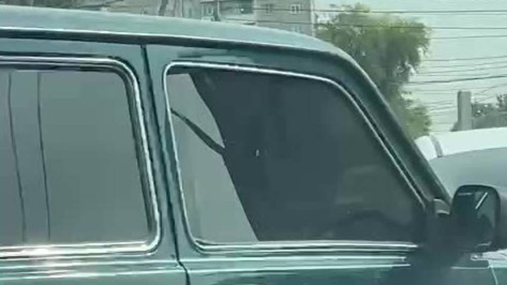 Затонированная «Нива» с подложными номерами. Видео