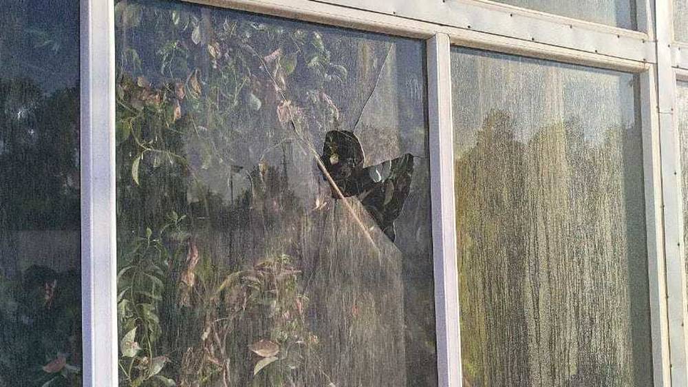 В Ботсаде на Горького разбили стекло в оранжерее. Фото