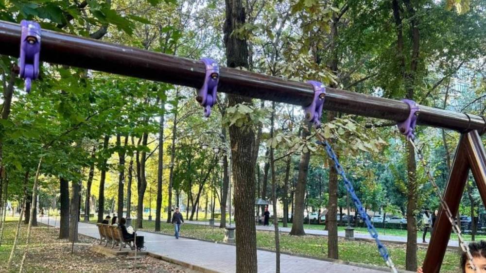 На детской площадке на бульваре Эркиндик осталась одна качеля, - горожанин