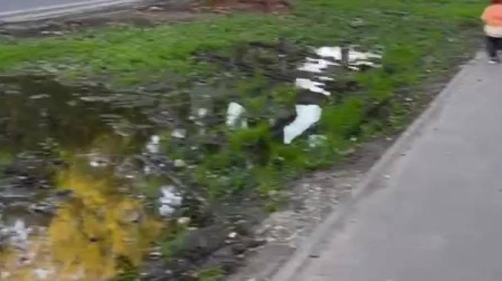 Зеленая зона на Турусбекова превратилась в болото. Видео