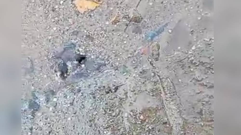 На Тыныстанова 99 из-под асфальта сочится вода. Видео