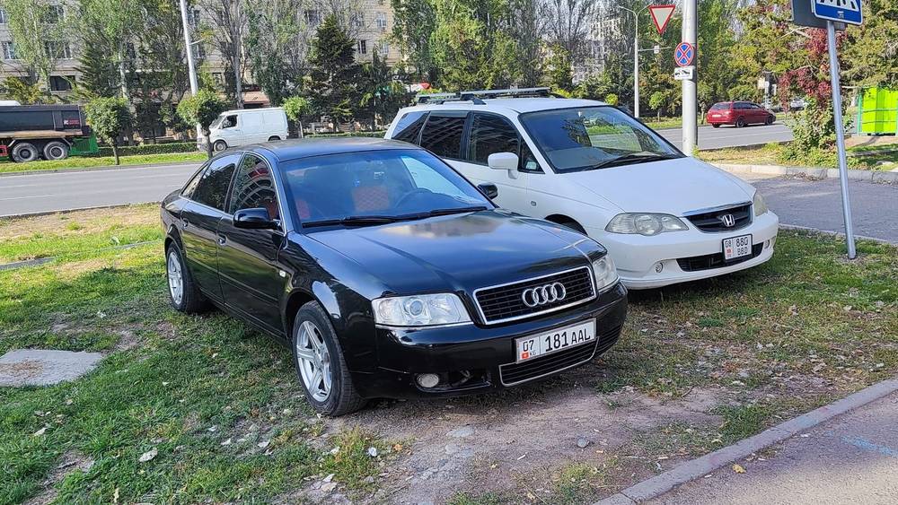 «Ауди» и «Хонда» припаркованы в зеленой зоне в Асанбае. Фото