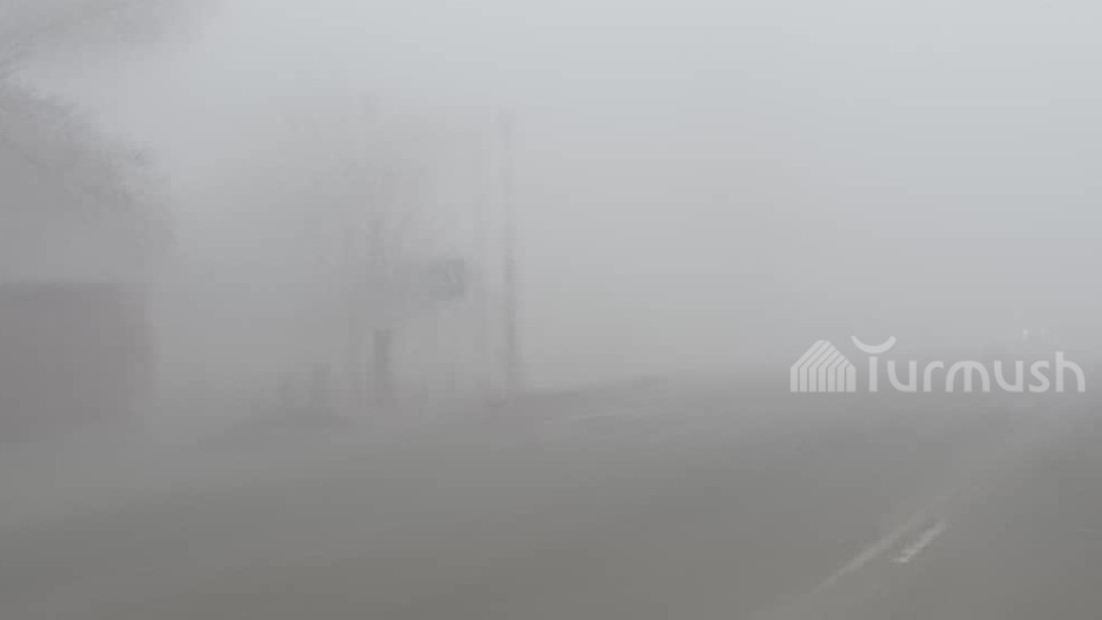 Иллюстративное фото