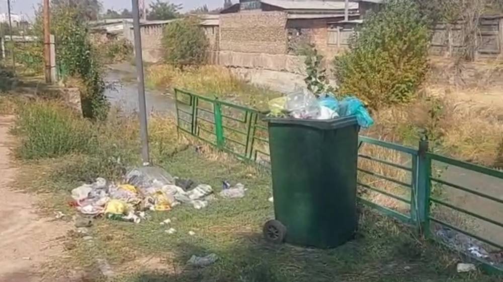 «Тазалык» убрал мусорный бак на берегу реки Ала-Арча. Фото