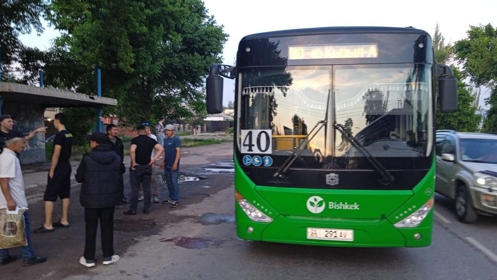 Иллюстрациялык сүрөт