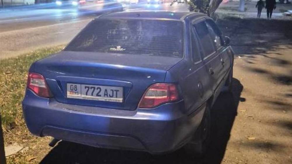 Очередной водитель заехал на тротуар и припарковался в зеленой зоне на Льва Толстого. Фото