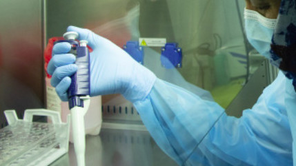 Иллюстративное фото