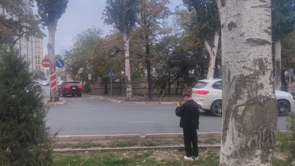 Горожанин просит установить светофор и нанести разметку пешеходного перехода на Айтматова. Ответ мэрии
