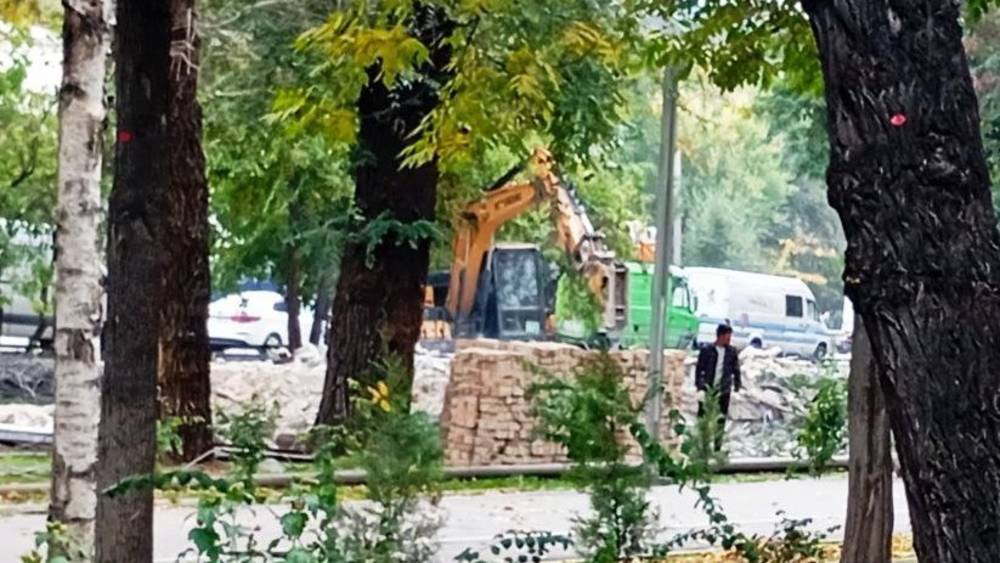 В парке Фучика «Бишкекзеленстрой» убирает засохшие деревья и демонтирует незаконные объекты