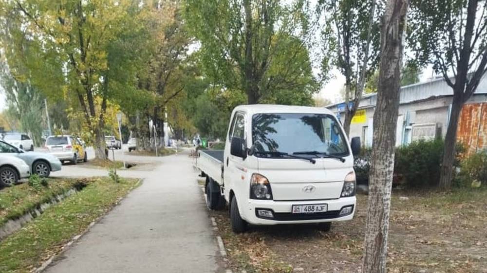 «Портер» припарковали в зеленой зоне на ул.Анкара. Фото