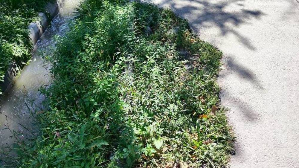 Дыры на тротуаре по Панфилова все еще залатали. Ответ «Бишкекасфальтсервис»